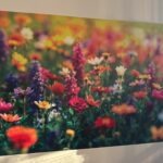 Realizacja druku ściennego – WallColor