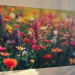 Realizacja druku ściennego – WallColor